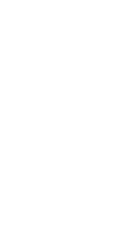 Decorative Shape